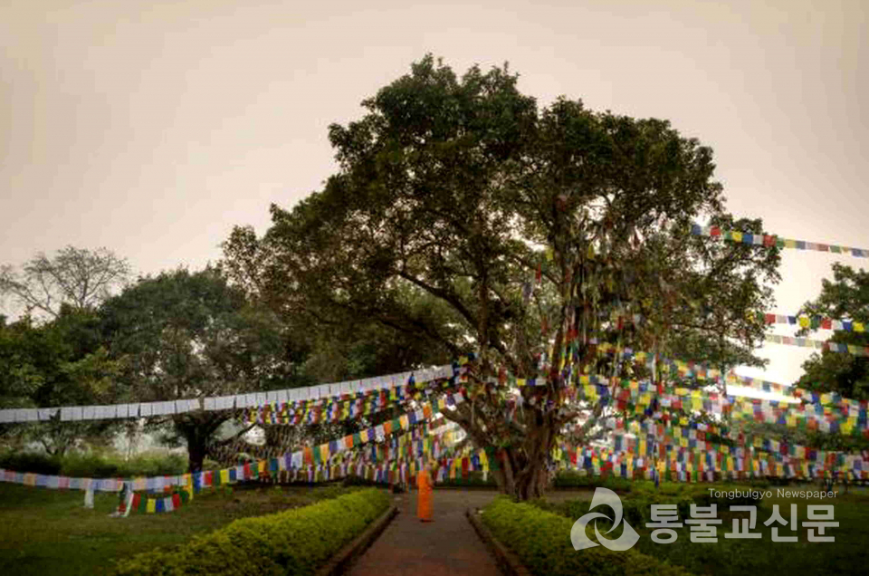 제 4회 불교 달력 사진ᐧ미술 작품 공모전 동상